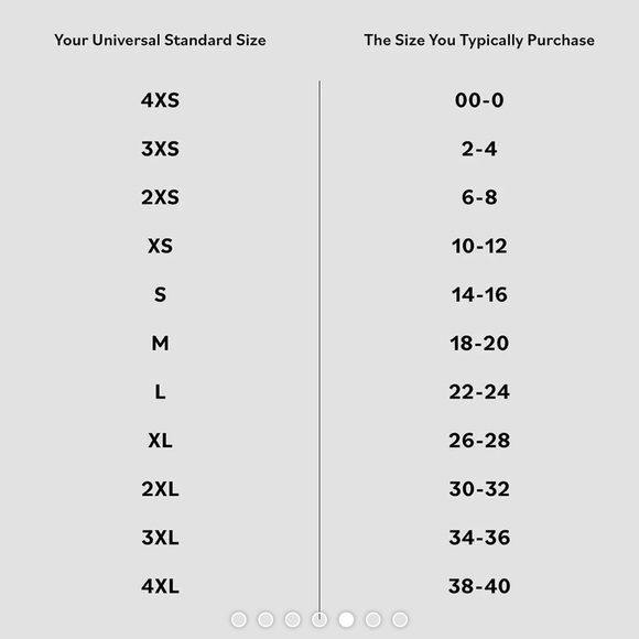 Universal Standard Petite Elbe Shirt - stretch, popover, perfect! - Picture 5 of 6